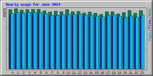 Hourly usage for June 2024