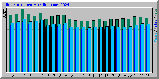 Hourly usage for October 2024