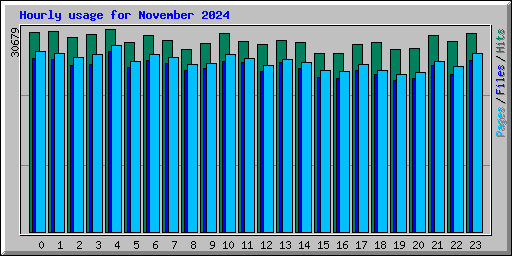 Hourly usage for November 2024