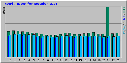 Hourly usage for December 2024